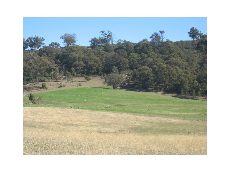 “Roseneath” Roseneath Rd, Watsons Creek NSW 2355