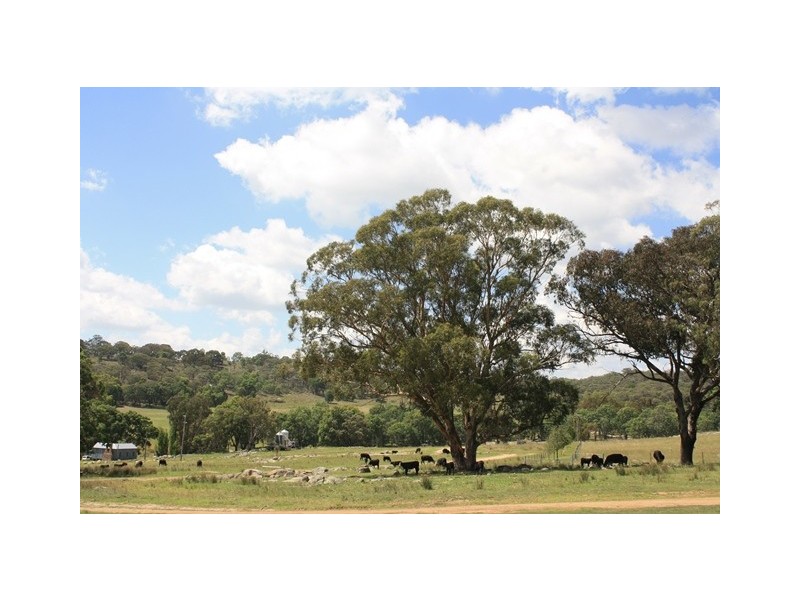 “Roseneath” Roseneath Rd, Watsons Creek NSW 2355