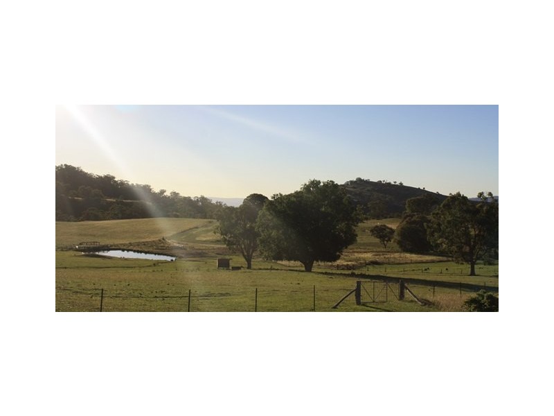 “Roseneath” Roseneath Rd, Watsons Creek NSW 2355