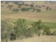 2141 Burindi Road, Barraba NSW 2347