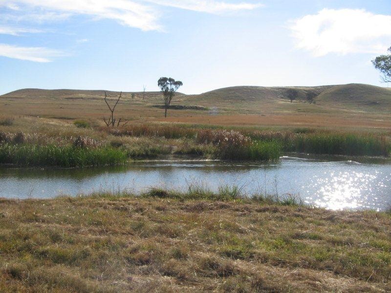 2141 Burindi Road, Barraba NSW 2347