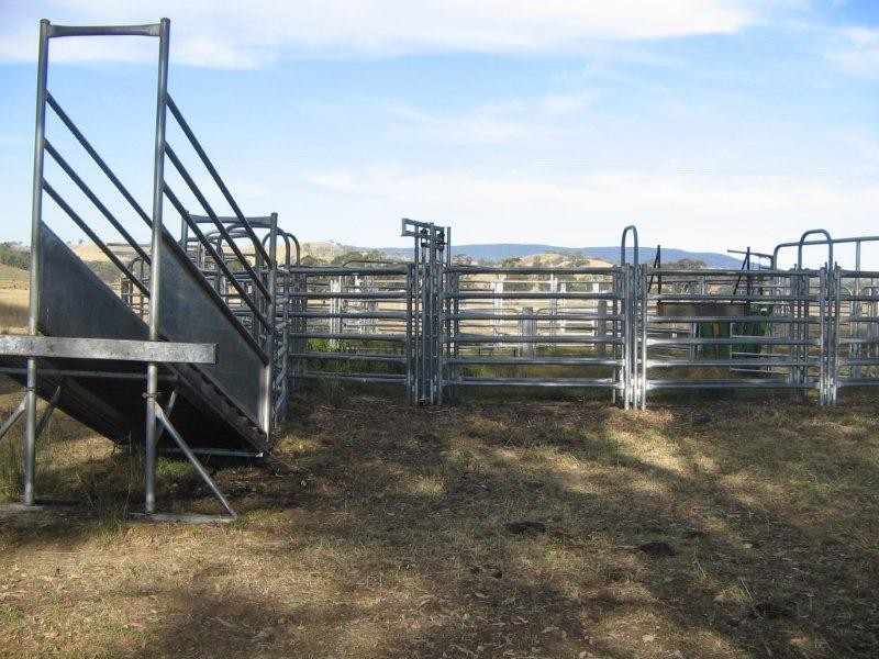 2141 Burindi Road, Barraba NSW 2347