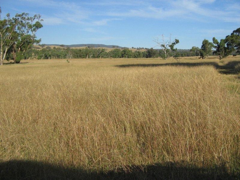 2141 Burindi Road, Barraba NSW 2347