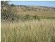 2141 Burindi Road, Barraba NSW 2347