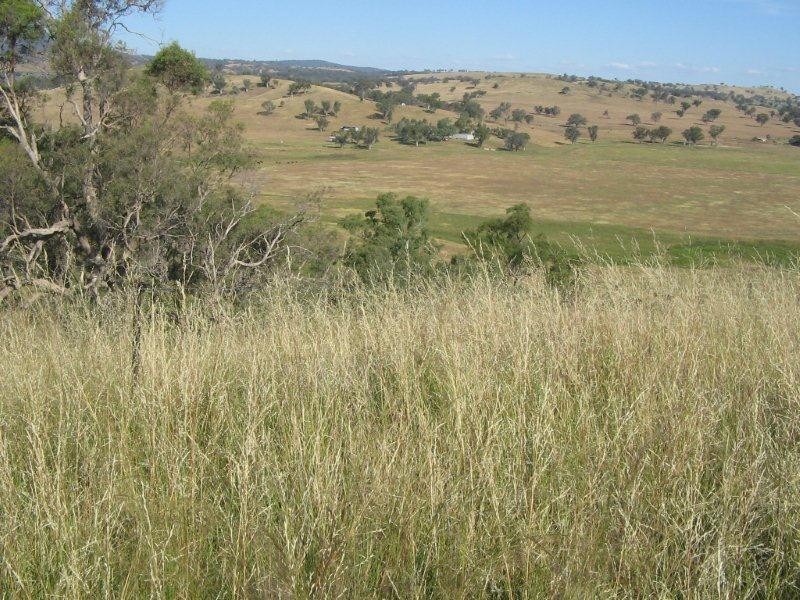 2141 Burindi Road, Barraba NSW 2347