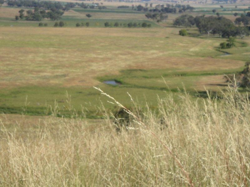 2141 Burindi Road, Barraba NSW 2347