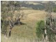 2141 Burindi Road, Barraba NSW 2347