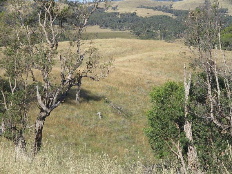 2141 Burindi Road, Barraba NSW 2347