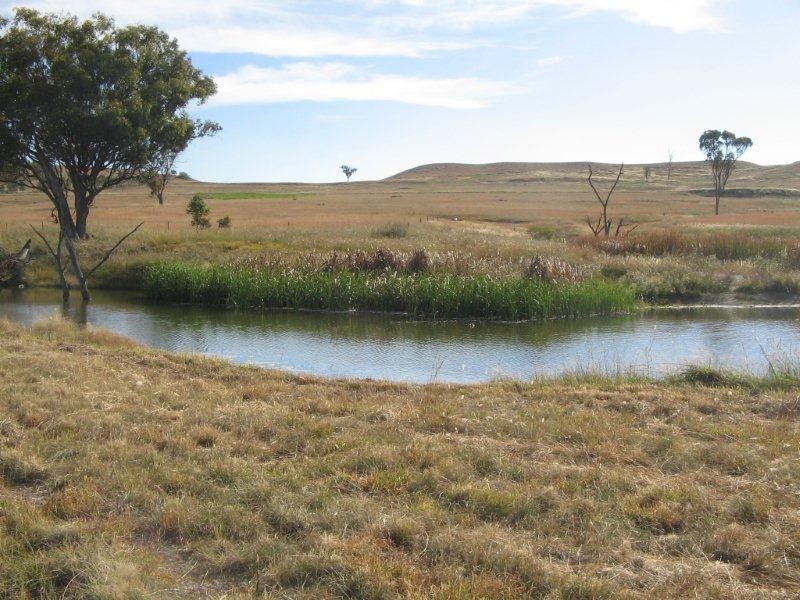 2141 Burindi Road, Barraba NSW 2347