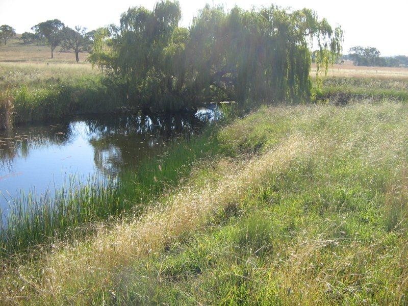 2141 Burindi Road, Barraba NSW 2347