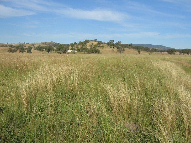 2141 Burindi Road, Barraba NSW 2347