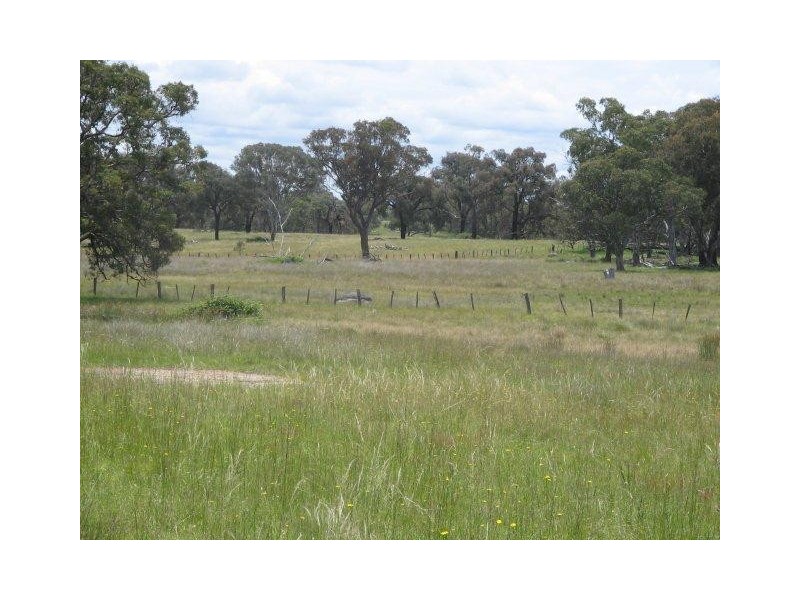 0 Bundarra Road, Barraba NSW 2347