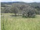 0 Bundarra Road, Barraba NSW 2347