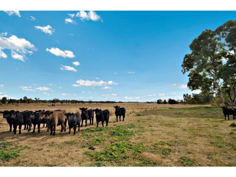 14670 New England Highway, Tamworth NSW 2340