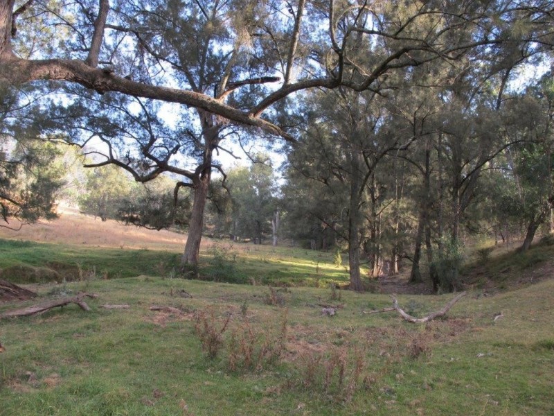 1592 Ogunbil Road, Dungowan NSW 2340