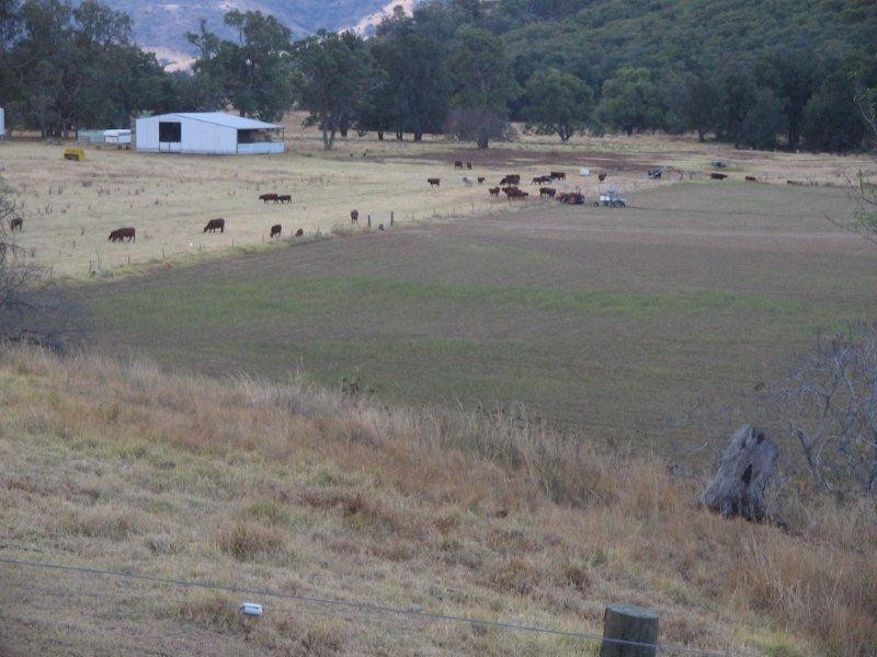 1592 Ogunbil Road, Dungowan NSW 2340