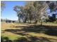705 Garthowen Road, Attunga NSW 2345