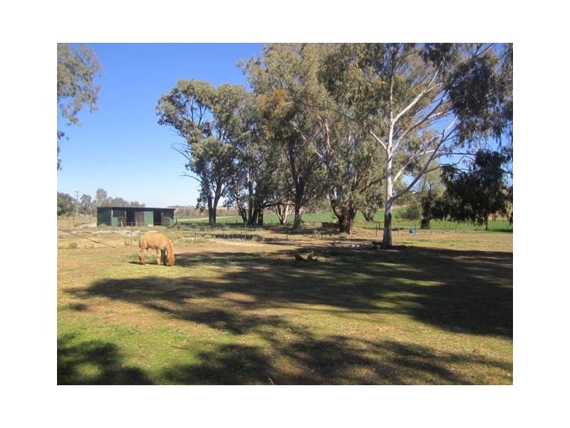 705 Garthowen Road, Attunga NSW 2345