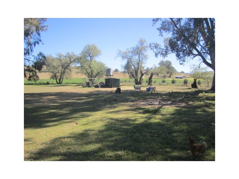 705 Garthowen Road, Attunga NSW 2345
