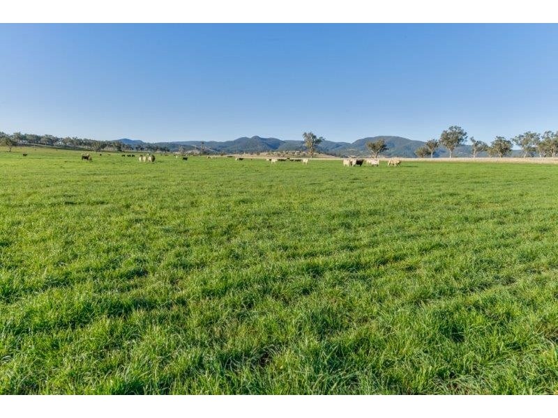 1234 Manilla Road, Tamworth NSW 2340