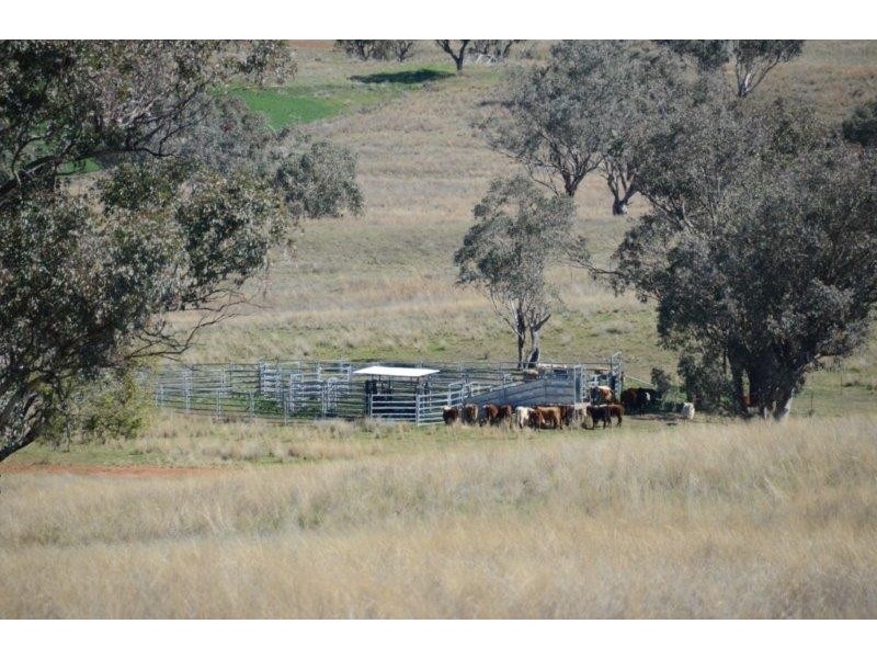 “Keelendi” Babbinboon Road, Somerton NSW 2340