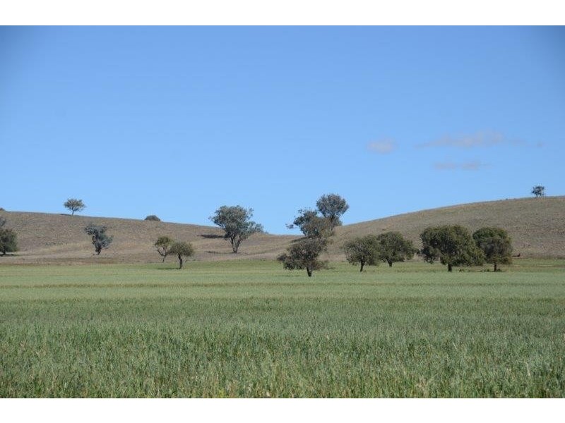 “Keelendi” Babbinboon Road, Somerton NSW 2340