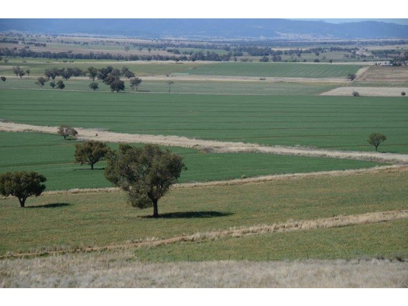 “Keelendi” Babbinboon Road, Somerton NSW 2340