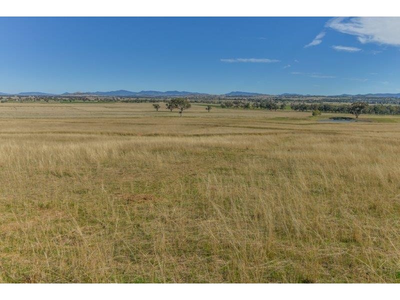 156C Roberts Road, Tamworth NSW 2340