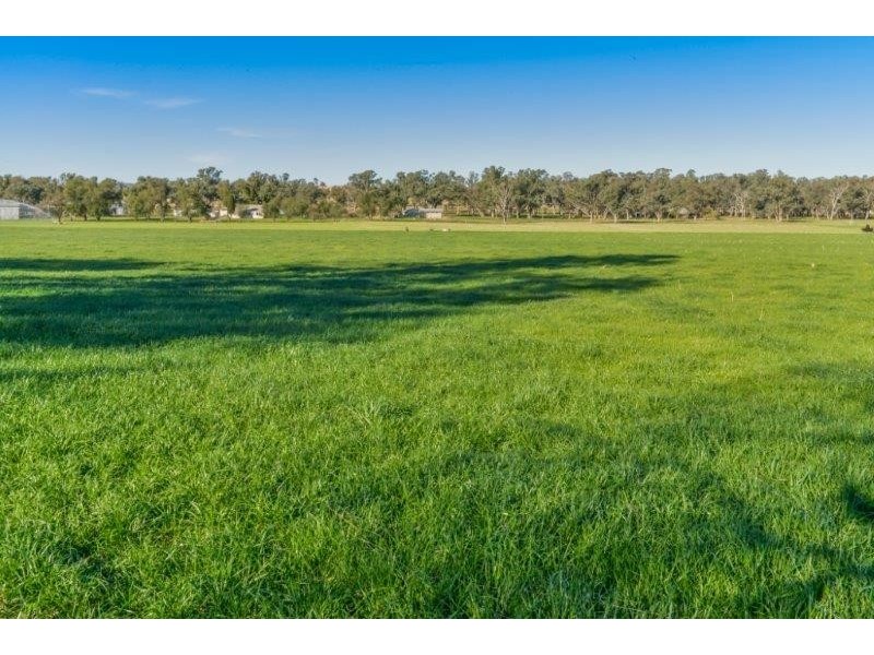156C Roberts Road, Tamworth NSW 2340