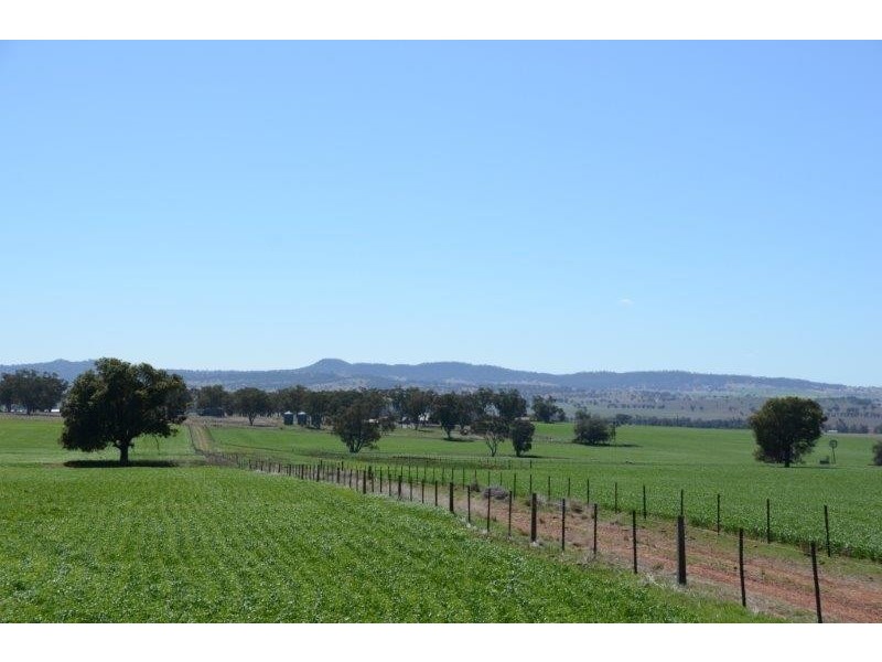 “Gunderoo” Babbinboon Road, Somerton NSW 2340