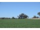 “Gunderoo” Babbinboon Road, Somerton NSW 2340