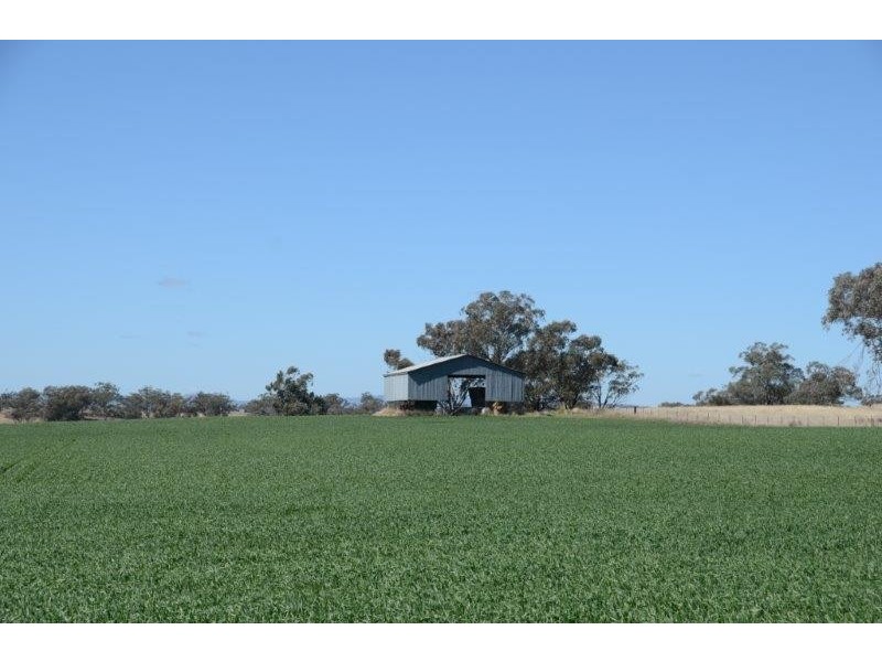 “Gunderoo” Babbinboon Road, Somerton NSW 2340