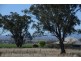 “Gunderoo” Babbinboon Road, Somerton NSW 2340