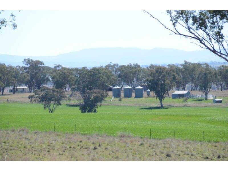 “Gunderoo” Babbinboon Road, Somerton NSW 2340