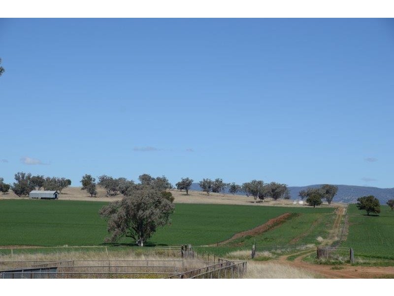 “Gunderoo” Babbinboon Road, Somerton NSW 2340