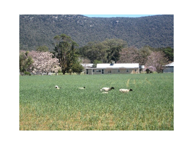 273 Langens Lane, Tamworth NSW 2340