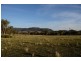 1525 New England Highway, Kootingal NSW 2352