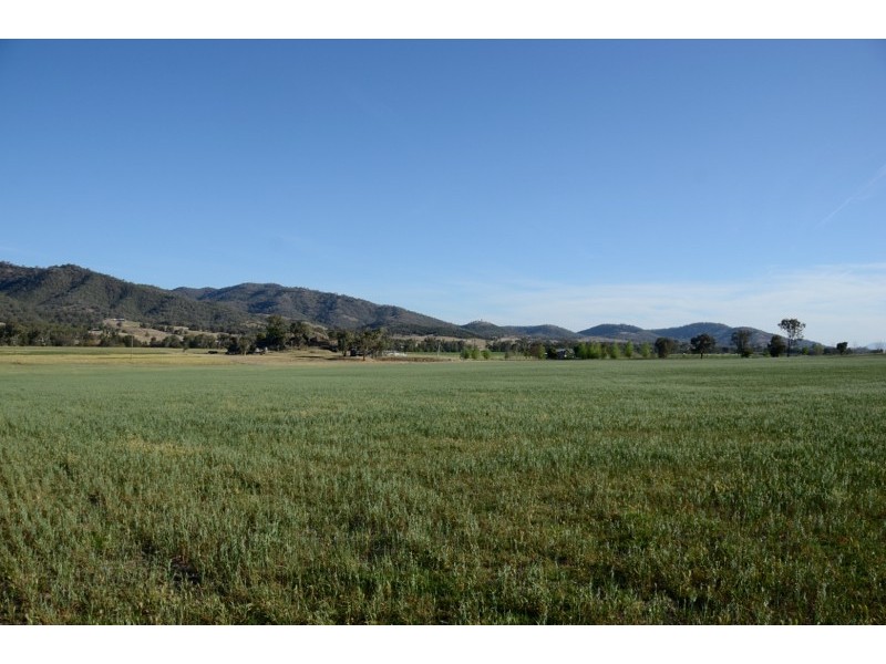 168 Walmar Road, Kootingal NSW 2352