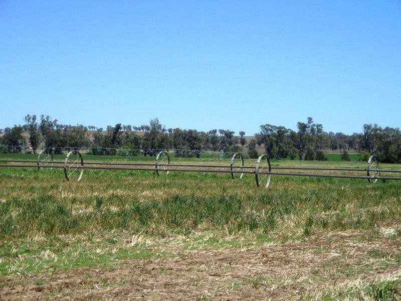 114 McCarthy’s Lane, Tamworth NSW 2340