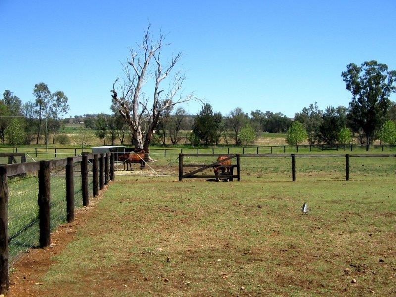 114 McCarthy’s Lane, Tamworth NSW 2340