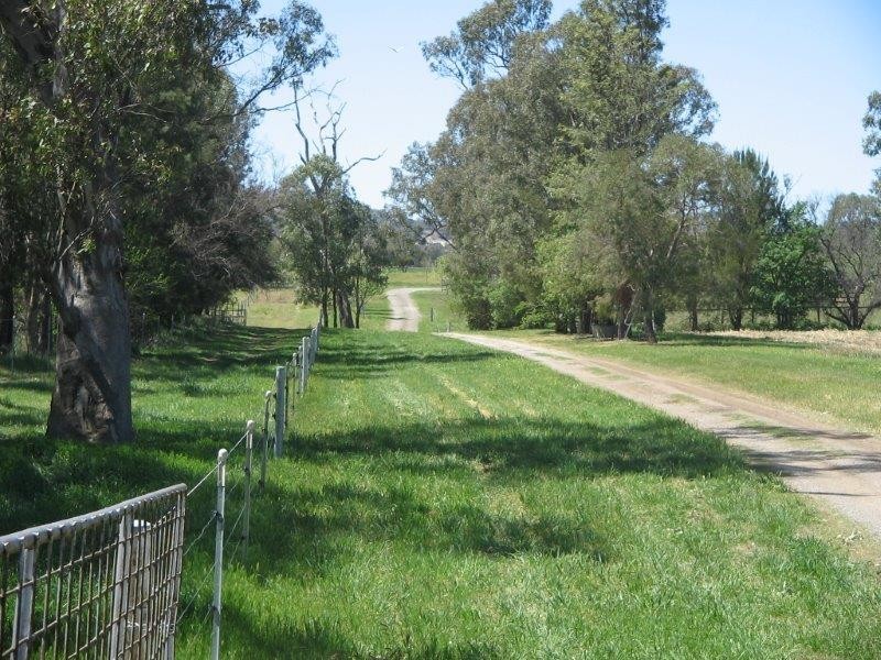 114 McCarthy’s Lane, Tamworth NSW 2340