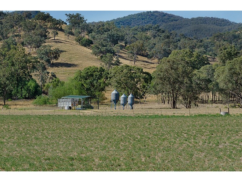 352 Wisemans Arms Road, Tamworth NSW 2340