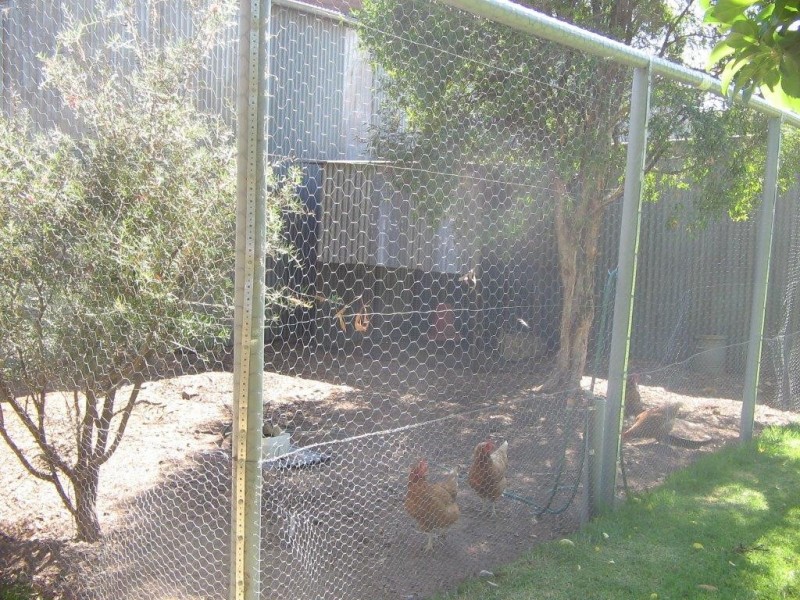 3 Bomera, Premer NSW 2381