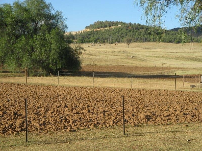 11 Inlet Road, Tamworth NSW 2340