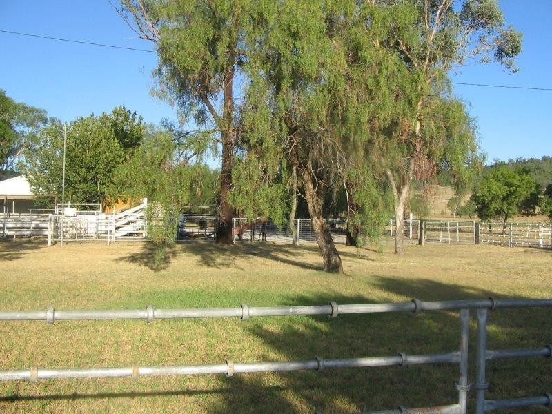 11 Inlet Road, Tamworth NSW 2340