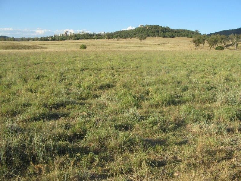 11 Inlet Road, Tamworth NSW 2340