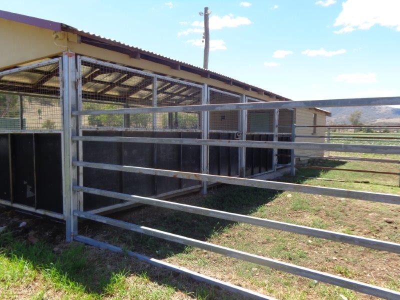 352 Ogunbil Road, Tamworth NSW 2340