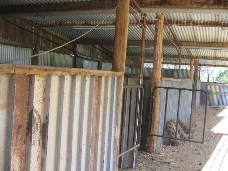 5 Schofields Road, Moonbi NSW 2353