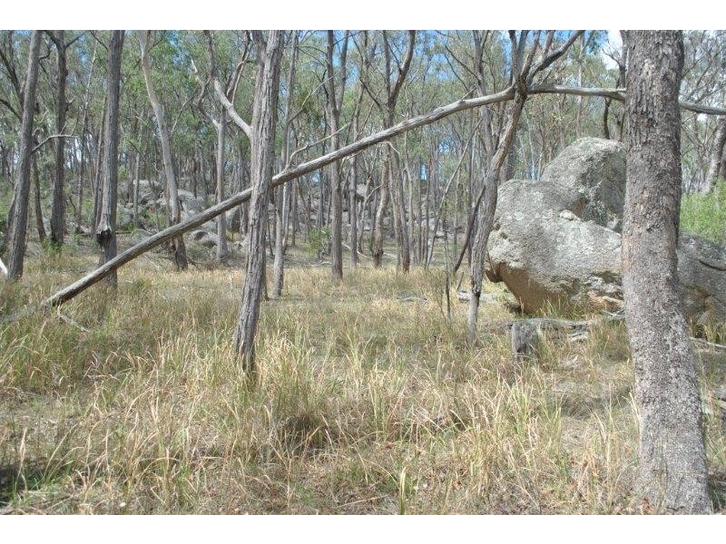 ‘Springfield Park” Old Farm Road, Bendemeer NSW 2355