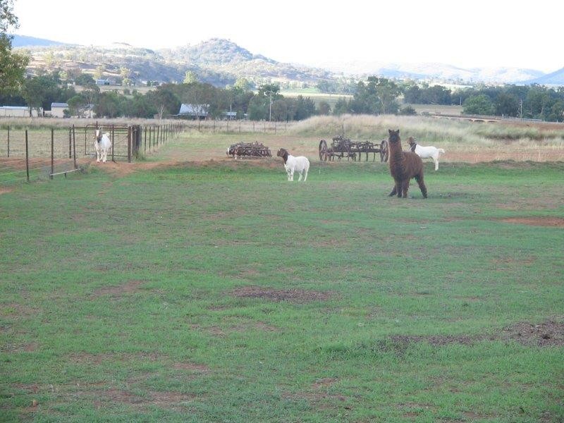 “Tandarra” Barraba Road, Manilla NSW 2346
